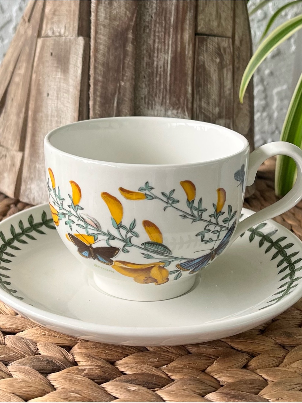 Portmeirion Botanic Garden cup and saucer SET Cytisus Scoparius / Broom
